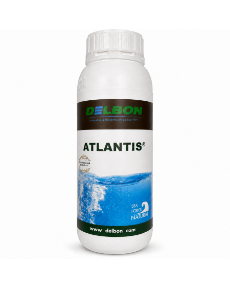 atlantis-biostimulant-ascophyllum-nodosum