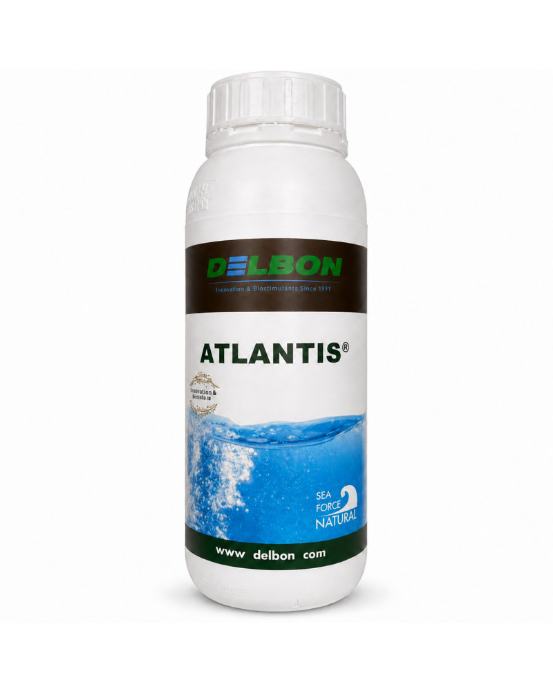 atlantis-biostimulant-ascophyllum-nodosum