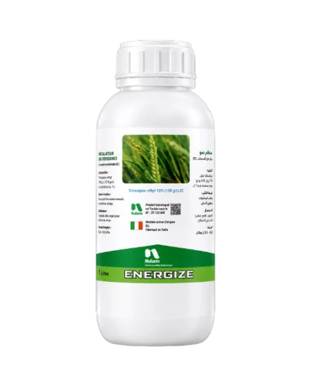 AZIMUT 250 SC – Fongicide pour blé et orge | Agriclic.tn