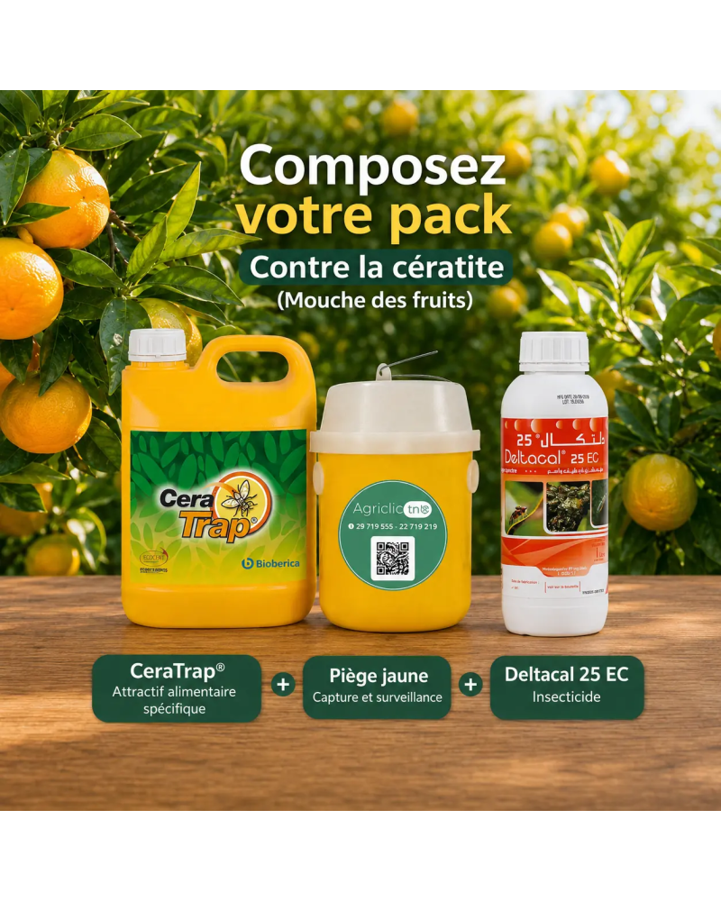 Pack Anti Cératite