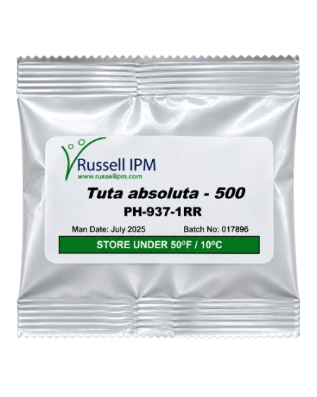 Phéromone Tuta absoluta – Mineuse de la Tomate | Agriclic.tn