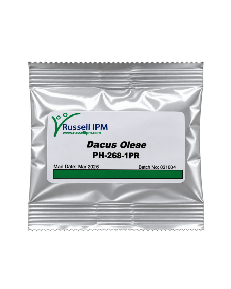 Phéromone Mouche de l’Olive – Bactrocera oleae | Agriclic.tn
