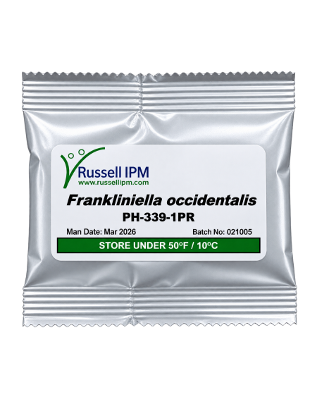 Phéromone Frankliniella occidentalis – Piège Thrips | Agriclic.tn