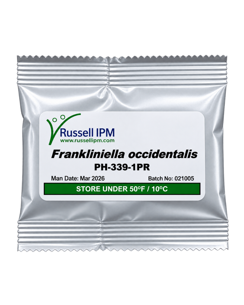 Phéromone Frankliniella occidentalis – Piège Thrips | Agriclic.tn