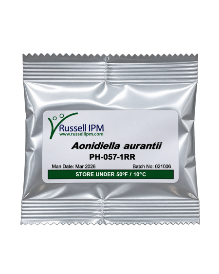 Phéromone Aonidiella aurantii – Cochenille Rouge Agrumes | Agriclic.tn
