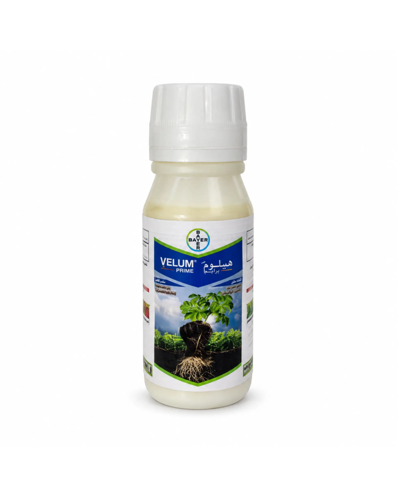 VELUM PRIME 400 SC – Nématicide Fluopyram | Agriclic.tn