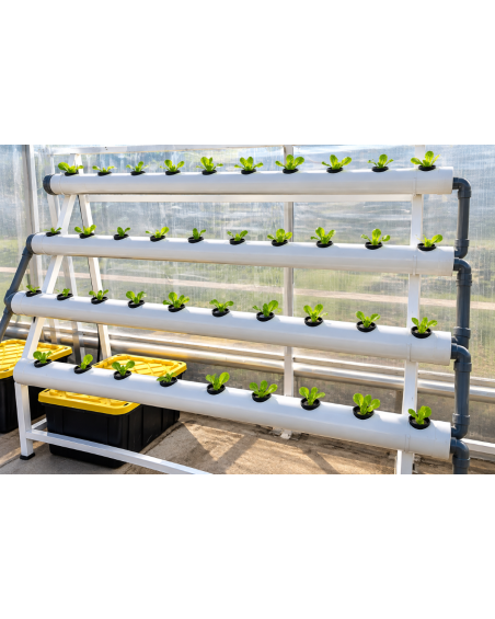 Kit NFT demi-triangle 2 m – 4 tubes et 40 plants