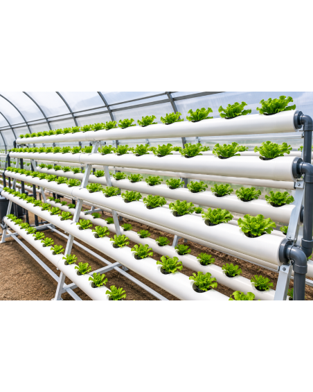 Dutch Bucket – Seau de Culture Hydroponique | Agriclic.tn