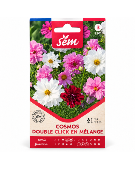 Cosmos Double Click en Mélange – Semences de Fleurs | Agriclic.tn