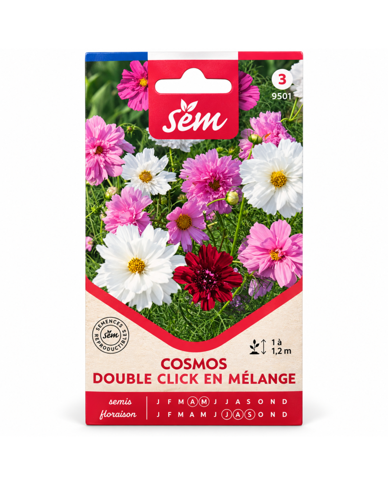 Cosmos Double Click en Mélange – Semences de Fleurs | Agriclic.tn