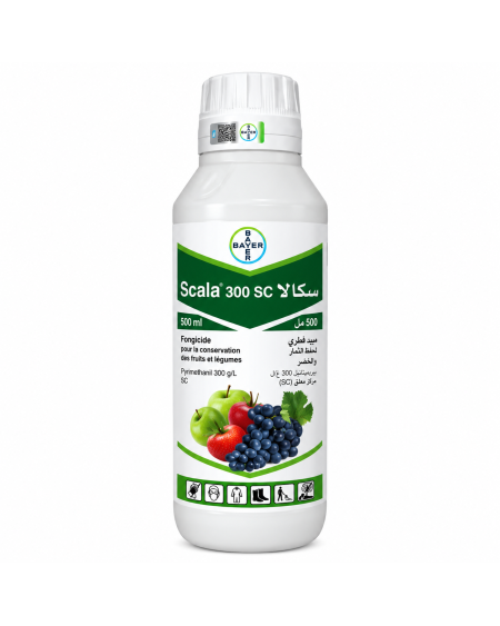 SCALA 300 SC – Fongicide Botrytis & Tavelure | Agriclic.tn
