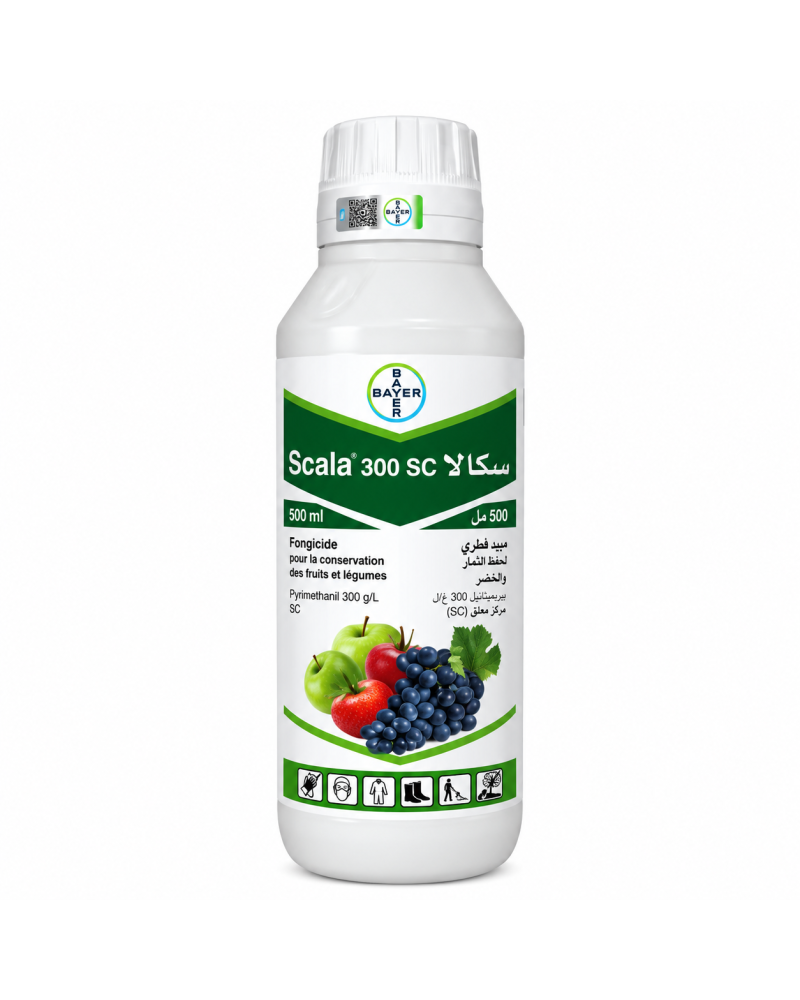 SCALA 300 SC – Fongicide Botrytis & Tavelure | Agriclic.tn