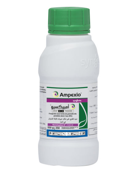 Ampexio® – Fongicide contre le mildiou de la vigne en Tunisie
