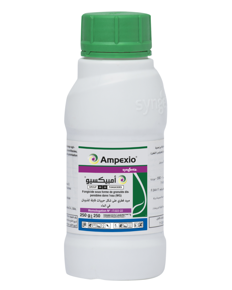Ampexio® – Fongicide contre le mildiou de la vigne en Tunisie
