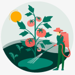 Insecticides