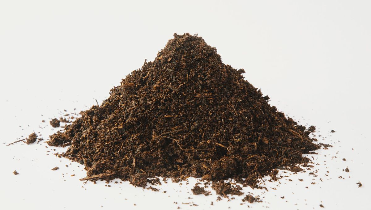 Terreau & Compost