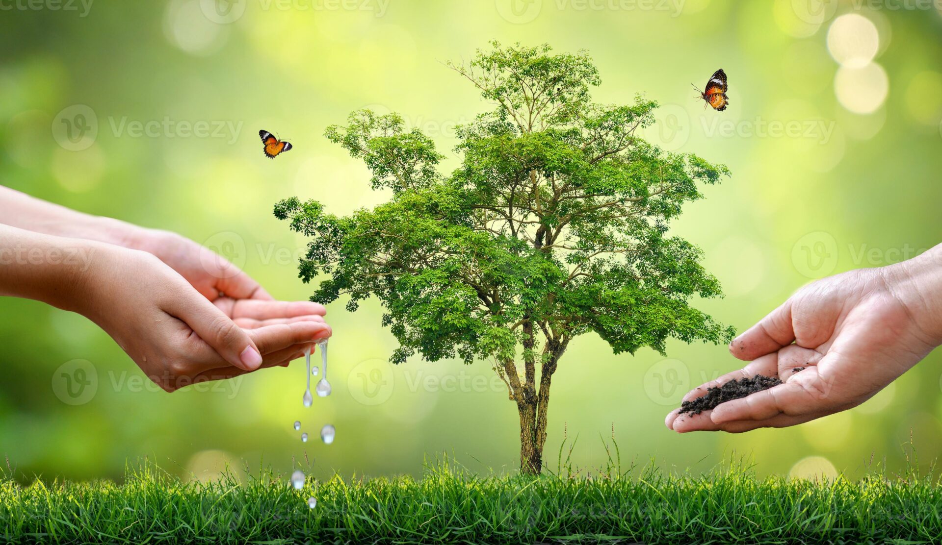 Protection des plantes