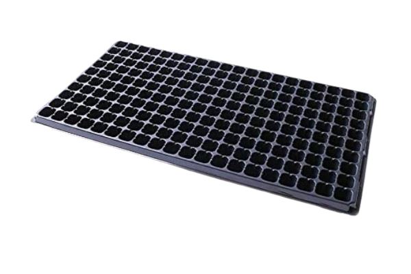 Plateau de germination