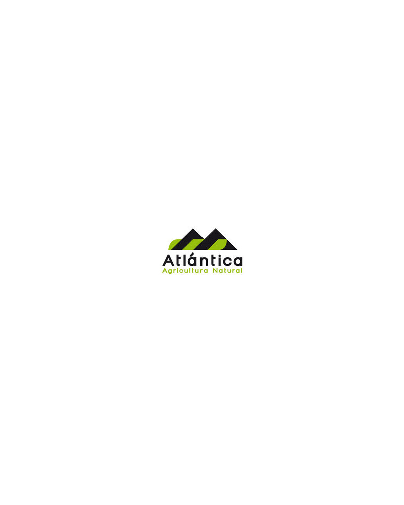 Atlantica Agricola