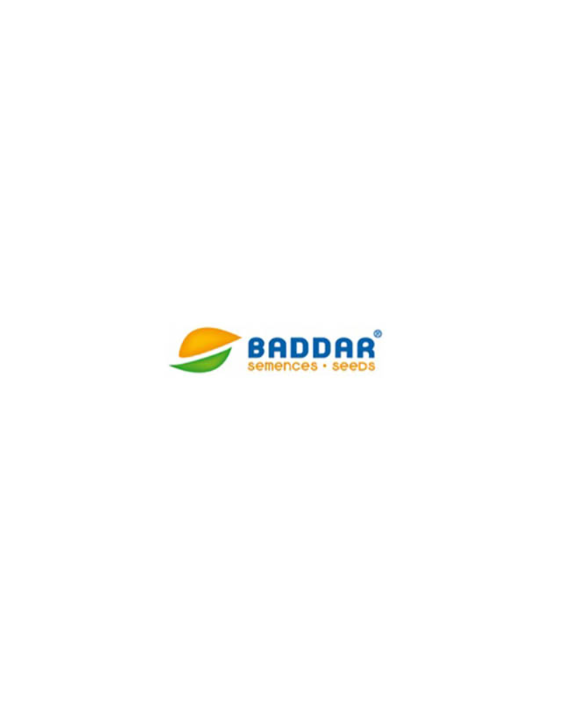 Baddar