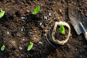 Engrais et biostimulants