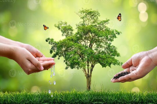 Le Traitement d'Hiver en Arboriculture : Un Guide Complet pour les Agriculteurs