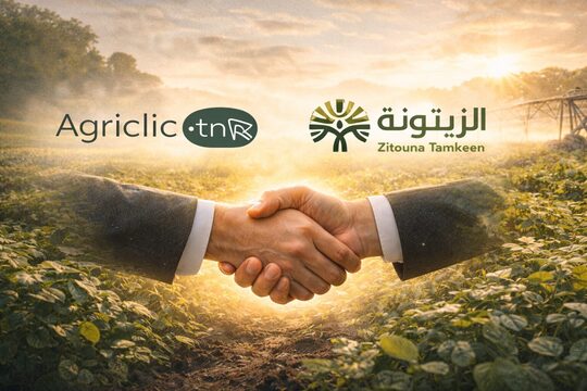 موّل مشترياتك الفلاحية حتى لـ 20 ألف دينار بفضل اتفاقية مع الزيتونة تمكين