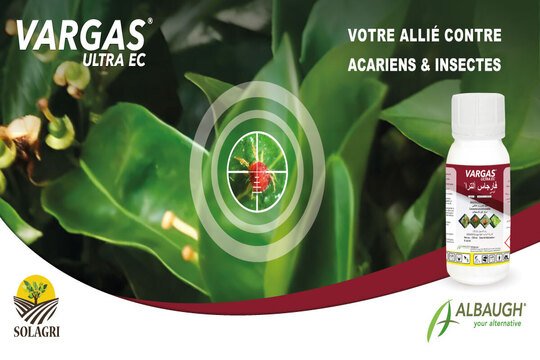 VARGAS ULTRA EC