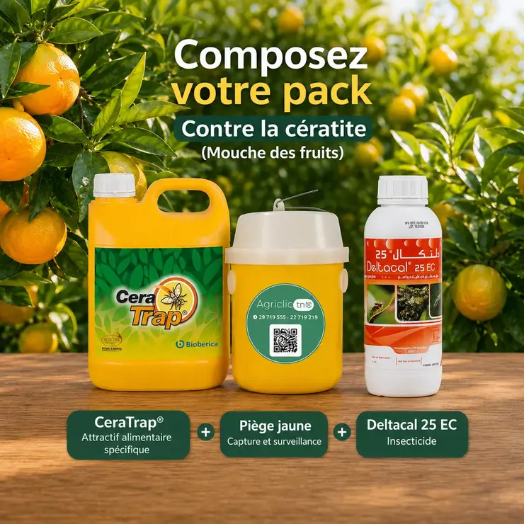 Pack Anti Cératite Agrume